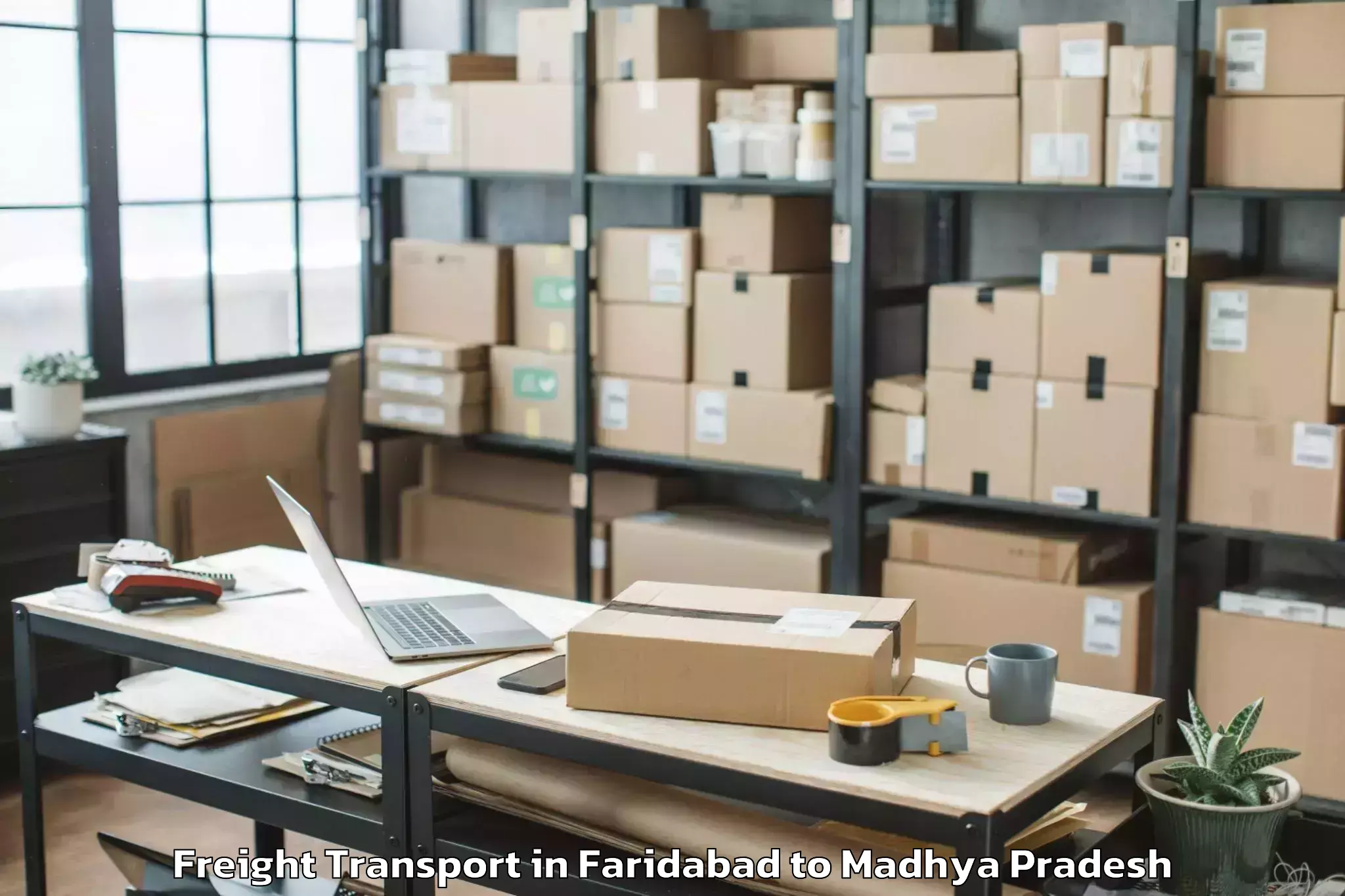 Reliable Faridabad to Raghogarh Freight Transport